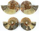 Lot: - Cut Ammonite Pairs (Grade B/C) - Pairs #85220-3